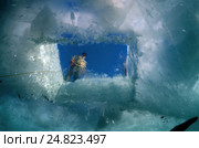 Вид из-под воды на прорубь во льду. Стоковое фото, фотограф Некрасов Андрей / Фотобанк Лори