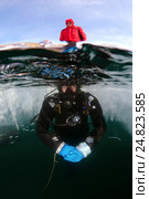 Ice-diving, in lake Baikal, Siberia, Russia, island Olkhon (2011 год). Редакционное фото, фотограф Некрасов Андрей / Фотобанк Лори