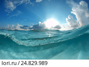Подводный пейзаж, Индийский океан, Мальдивы. Стоковое фото, фотограф Некрасов Андрей / Фотобанк Лори