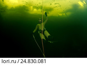Ice diving, free diving, Стоковое фото, фотограф Некрасов Андрей / Фотобанк Лори