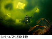 Ice diving in Russian Arctic (2009 год). Редакционное фото, фотограф Некрасов Андрей / Фотобанк Лори