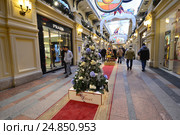 Новогодняя дизайнерская елочка от салона цветов "Bosco Fiori" в знаменитом торговом центре ГУМ. Москва (2017 год). Редакционное фото, фотограф lana1501 / Фотобанк Лори
