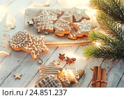 Домашнее имбирное печенье ручной работы. Стоковое фото, фотограф Александр Тарасенков / Фотобанк Лори