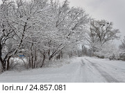 Country road through in winter. Стоковое фото, фотограф Валентин Лещименко / Фотобанк Лори