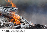 Горящие черные угли с белым пеплом и красными языками пламени. Стоковое фото, фотограф Бачкова Наталья / Фотобанк Лори