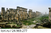 Great Colonnade Apamea in fog, partially destroyed by ISIS Syria (2011 год). Стоковое фото, фотограф Сергей Майоров / Фотобанк Лори