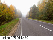 Autumn scenery in the forest outside the city. Стоковое фото, фотограф Николай Гарастюк / Фотобанк Лори