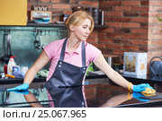 Cleaning service. woman clean cooker at kitchen. Стоковое фото, фотограф Дмитрий Калиновский / Фотобанк Лори