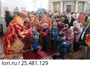 Литургия в Гуслицком монастыре, причастие (2017 год). Редакционное фото, фотограф Дмитрий Неумоин / Фотобанк Лори