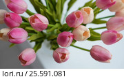 Close-up of a bouquet of tulips on a light background. Стоковое видео, видеограф Сергей Кальсин / Фотобанк Лори