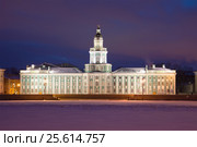 Здание Кунсткамеры крупным планом февральской ночью. Санкт-Петербург, Россия (2017 год). Редакционное фото, фотограф Виктор Карасев / Фотобанк Лори