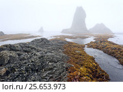 Берег острова Уруп из гряды Курильских островов. Стоковое фото, фотограф Денис Черкашин / Фотобанк Лори