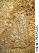 The cavernous globigerina limestone injured by the severe weathering, Malta (2015 год). Стоковое фото, фотограф Сергей Пристяжнюк (Serg Zastavkin) / Фотобанк Лори