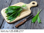 Ramson or wild garlic on a cutting board. Стоковое фото, фотограф Феликс Хромых / Фотобанк Лори