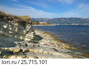 Геленджик, Тонкий мыс, флиши на диком пляже (2014 год). Стоковое фото, фотограф Dmitry29 / Фотобанк Лори