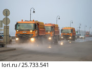 Автомобили городских коммунальных служб на уборке набережной туманным весенним днем. Санкт-Петербург (2017 год). Редакционное фото, фотограф Виктор Карасев / Фотобанк Лори