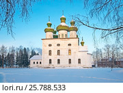Церковь Рождества Иоанна Предтечи на Соборной площади. Каргополь (2009 год). Стоковое фото, фотограф Румянцева Наталия / Фотобанк Лори