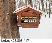 Feeder for squirrels in the park with the protection of birds in the winter. Стоковое фото, фотограф Artem Sobov / Фотобанк Лори