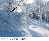 Зимняя зарисовка (2007 год). Стоковое фото, фотограф Анатолий Заводсков / Фотобанк Лори