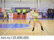 MYTISHCHI, RUSSIA - OCT 16, 2014: Girls cheerleader (with model release) dancing with shiny pompons in timeout in Russian Futsal Super League in Mytishchi. Редакционное фото, фотограф Losevsky Pavel / Фотобанк Лори