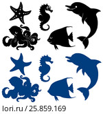 Five marine animals silhouette on white. Стоковая иллюстрация, иллюстратор Анастасия Некрасова / Фотобанк Лори