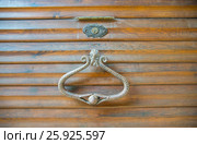 Door knocker. Стоковое фото, фотограф Елена Корнеева / Фотобанк Лори
