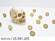 Composition with human skull and coins. Стоковое фото, фотограф Роман Клевцов / Фотобанк Лори