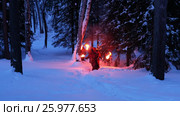 Torchlight procession. Group of monks in hood robe walking along winter snow trail in forest. Стоковое видео, видеограф Сергей Пристяжнюк (Serg Zastavkin) / Фотобанк Лори