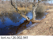 Затопленная лощина. Стоковое фото, фотограф Александр Балабаев / Фотобанк Лори