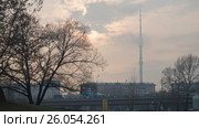 Вид на Останкинскую башню (2017 год). Редакционное фото, фотограф Николай Алмаев / Фотобанк Лори