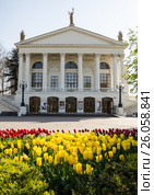 Клумба с тюльпанами перед зданием театра им. Луначарского в Севастополе (2017 год). Редакционное фото, фотограф Выскуб Анна / Фотобанк Лори