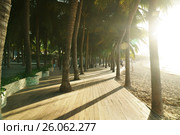 Morning tourist embankment with palm trees along beach at Dadonghai Bay on Hainan Island, China. Стоковое фото, фотограф Юлия Машкова / Фотобанк Лори