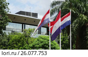 National flag of Paraguay in front of the Legislative Palace. Asuncion, Paraguay. Стоковое видео, видеограф Яков Филимонов / Фотобанк Лори