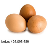 Three brown eggs, close up. Стоковое фото, фотограф Андрей Есин / Фотобанк Лори