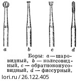 Типы боров. Стоковая иллюстрация, иллюстратор Макаров Алексей / Фотобанк Лори
