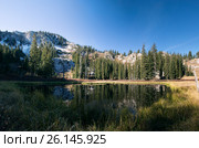 Небольшое высокогорное озеро и хвойный лес на фоне гор со снегом. Dog Lake , Uinta-Wasatch-Cache national forest.  Штат Юта, США (2014 год). Стоковое фото, фотограф Ирина Кожемякина / Фотобанк Лори
