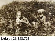 Две маленькие девочки сидят в траве на поляне. 1970 год. (2017 год). Редакционное фото, фотограф Светлана Попова / Фотобанк Лори