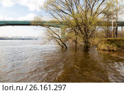 Наводнение: затопленный пляж в Тверицах, деревья в воде, Ярославль (2017 год). Стоковое фото, фотограф Илья Бесхлебный / Фотобанк Лори