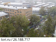 Снегопад в Москве 8 мая 2017 года. Стоковое фото, фотограф Евгений Лихолатов / Фотобанк Лори