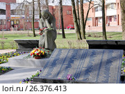 Памятник Скорбящей Матери - мемориальный памятник. Красное Село (Санкт-Петербург) (2017 год). Редакционное фото, фотограф Илюхина Наталья / Фотобанк Лори