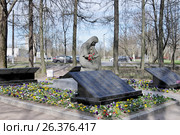 Памятник Скорбящей Матери - мемориальный памятник в городе Красное Село (Санкт-Петербург) (2017 год). Редакционное фото, фотограф Илюхина Наталья / Фотобанк Лори