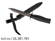 Knife with scabbard. Стоковое фото, фотограф Татьяна Карасева / Фотобанк Лори