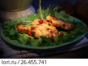 Chicken meat cnack. Стоковое фото, фотограф ElenArt / Фотобанк Лори