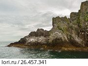 Bird market on the rocks of coast Pacific Ocean at Kamchatka. Стоковое фото, фотограф Юлия Машкова / Фотобанк Лори