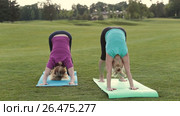 Fit ladies standing in don ward facing dog pose. Стоковое видео, видеограф Швец Анастасия / Фотобанк Лори