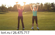 Charming ladies working out with dumbbells in park. Стоковое видео, видеограф Швец Анастасия / Фотобанк Лори