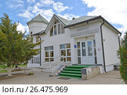 Дворец бракосочетания в Городе шахмат (Сити Чесс). Элиста, Калмыкия (2017 год). Стоковое фото, фотограф Ирина Борсученко / Фотобанк Лори
