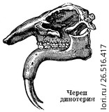 Череп динотерия. Стоковая иллюстрация, иллюстратор Макаров Алексей / Фотобанк Лори