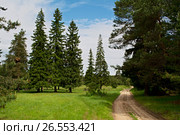 Летняя сказка. Стоковое фото, фотограф Игорь Камаев / Фотобанк Лори
