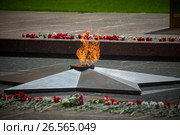 Москва, 9 мая 2010, Вечный огонь у стен Кремля. Мемориал памяти погибшим советским солдатам. Редакционное фото, фотограф Mikhail Leonov / Фотобанк Лори